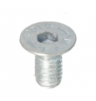 Atlas screw