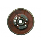 Tarcza stała zespołu pasowego Bizon