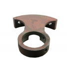 Wspornik ślimaka Bizon