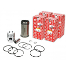 Motorreparatursatz 55110018 950116 C-360 (Satz) ORIGINAL URSUS