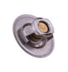 Termostat 83913835 Ford POLMO