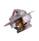 Termostat 895311H1 Landini Case POLMO