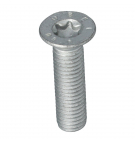 Palfinger-Schraube