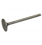 Zawór wydechowy Bizon Paradowski