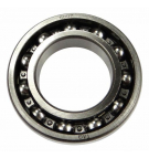 Łożysko 6007