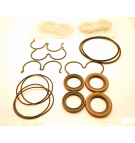X5 DOUBLE PMP SEAL KIT + WEARPLATES