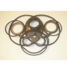 SAMBRON PUMP P2AAN3025A2006L30