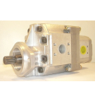 P1ABS3031HA2022HL30-A02 PUMP
