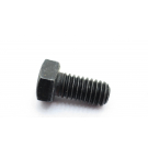 E SERIES LIFTING LUG SCREW