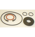 КОМПЛЕКТ УПЛОТНЕНИЙ BARNES