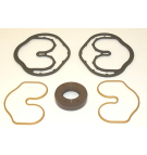 SNP1 01 VITON SEAL KIT