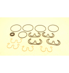 SNP2 STANDARD TANDEM PUMP SEAL KIT