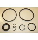 SP3/175 32.7 - 42.7 SEAL KIT