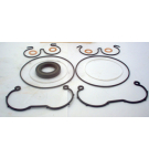 TAP 22-90 C + SAE2 LAD FLG SEAL KT