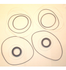 TAP 60-200 **01 4 BOLT STD SL KIT