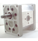 TAP 60-200 A148L C041 PUMP