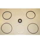 TFP 100 TAPER SHAFT SEAL KIT
