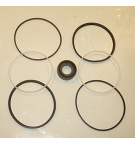 TFP 100 PARALLEL SHAFT SEAL KT