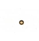 TFP 100 SC Wellendichtringe