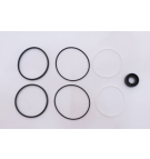 TFP 100 TAPER SHAFT VITON SEAL KIT