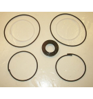 TKP 200 SEAL KIT FOR HYDRAULIC GEAR