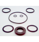DOWTY GRP2 SEAL KIT