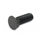 Śruba płużna dwunoskowa M12x30 mm kl.12.9 Waryński ( sprzedawane po 10kg )
