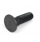 Śruba płużna podsadzana D 608 M12x30 mm kl.10.9 Waryński ( sprzedawane po 10kg )