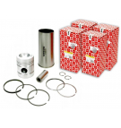 Kit de reparación de motor 31358348, 0437990 MF4 (juego) ORIGINAL URSUS