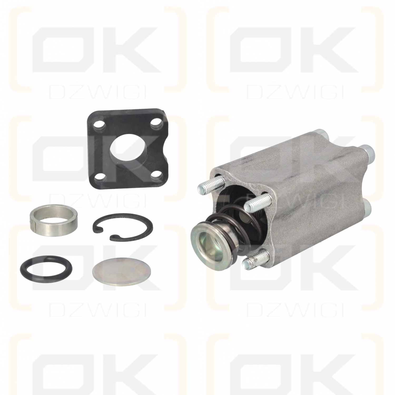 Sterownik Hydrocontrol F002A PRO TR55