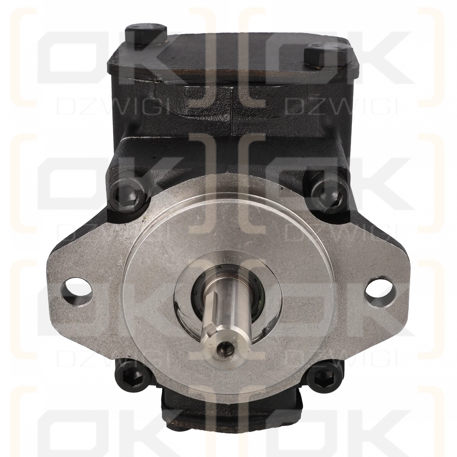 Parker Denison T6CC B06 B05 1R00 C100 Vane Pump