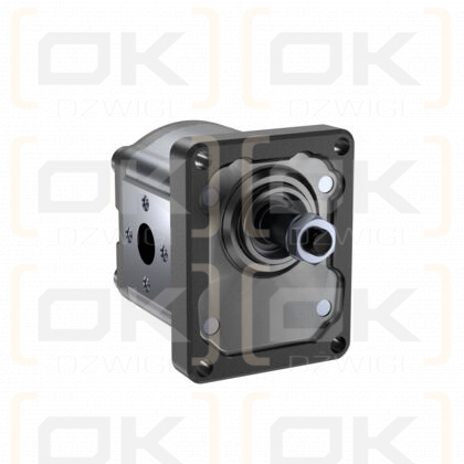 Bosch Rexroth AZPF-10-004RHO30MB gear pump