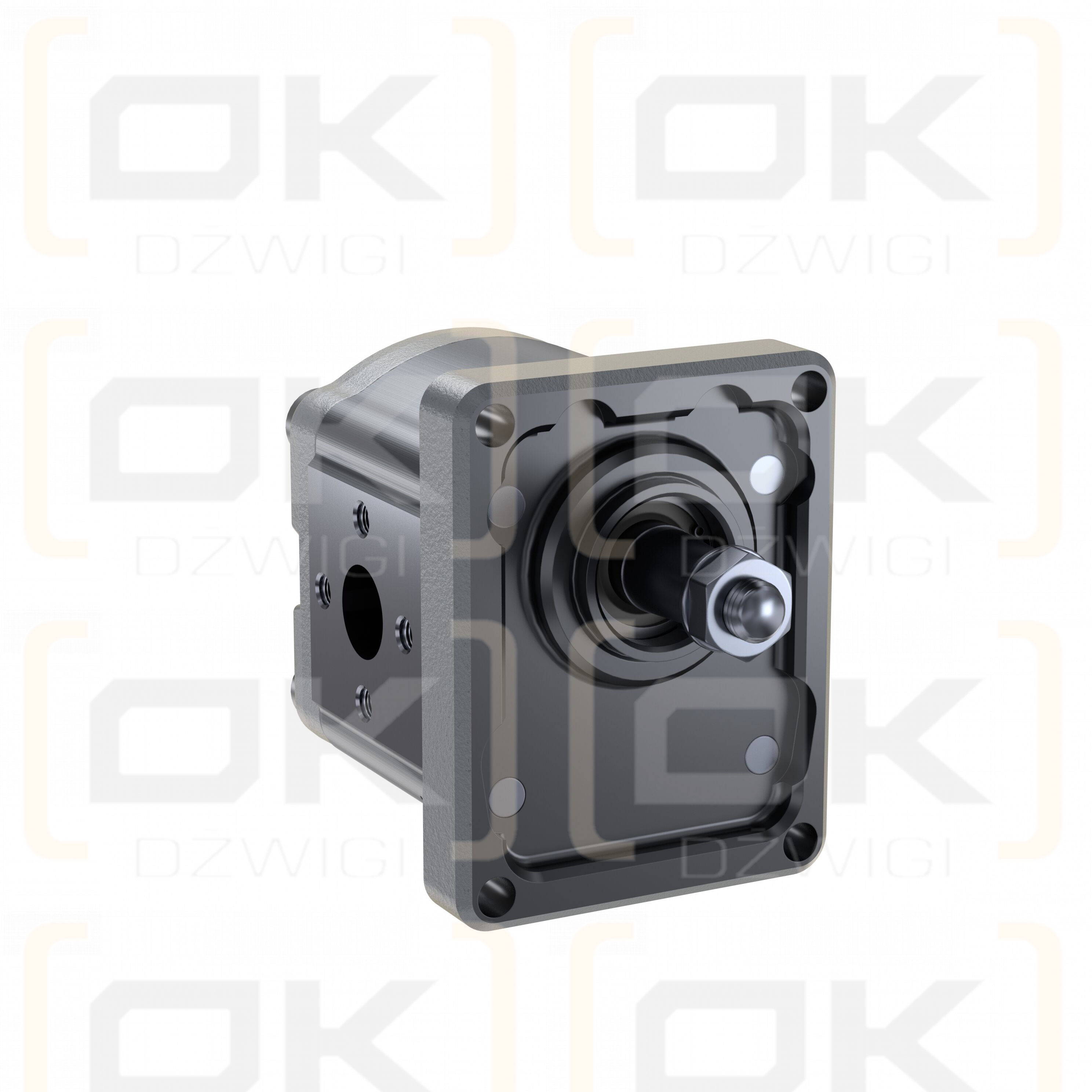 Pompa zębata Bosch Rexroth AZPF-12-004RHO30PB