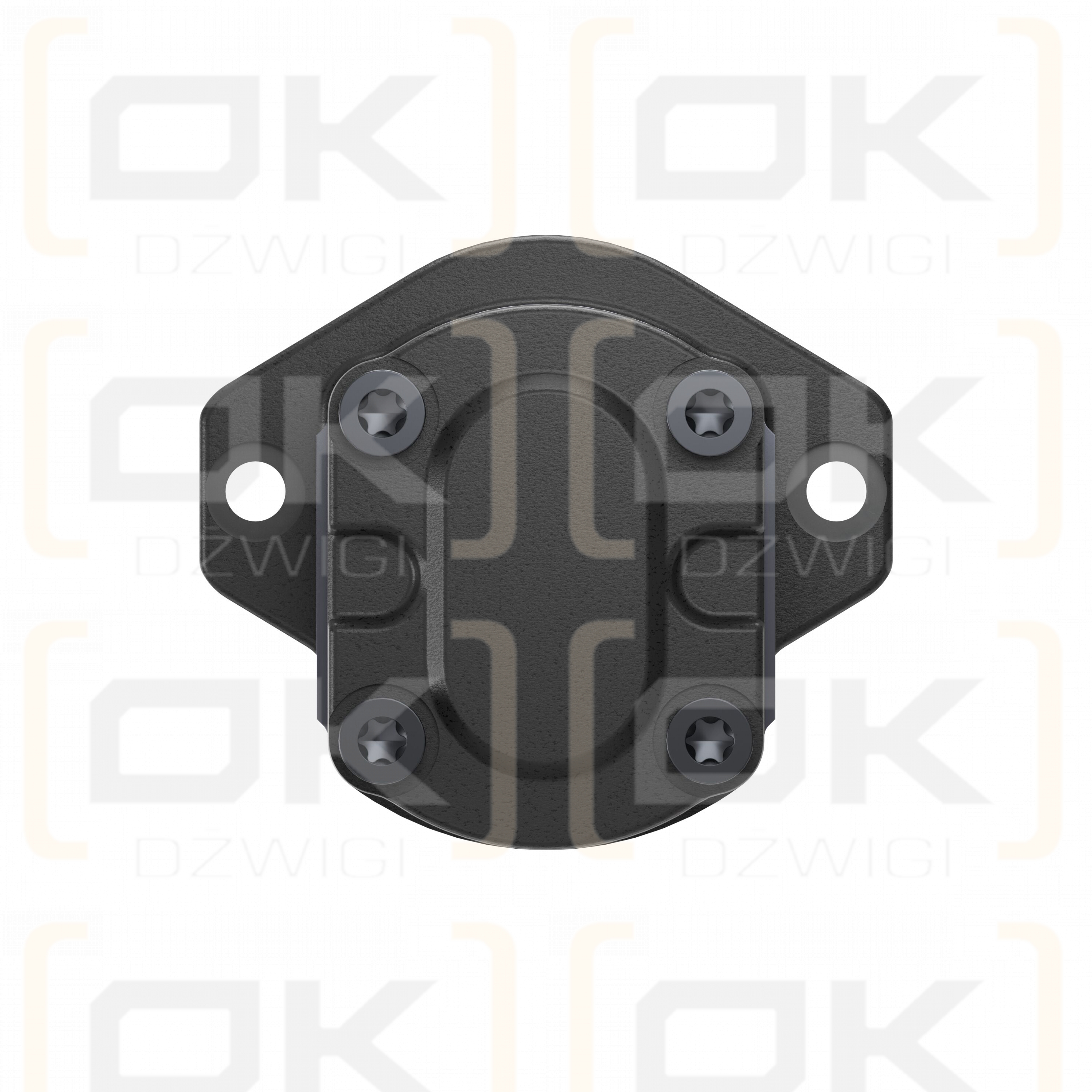 Bosch Rexroth AZPF-11-019RQR20MB gear pump