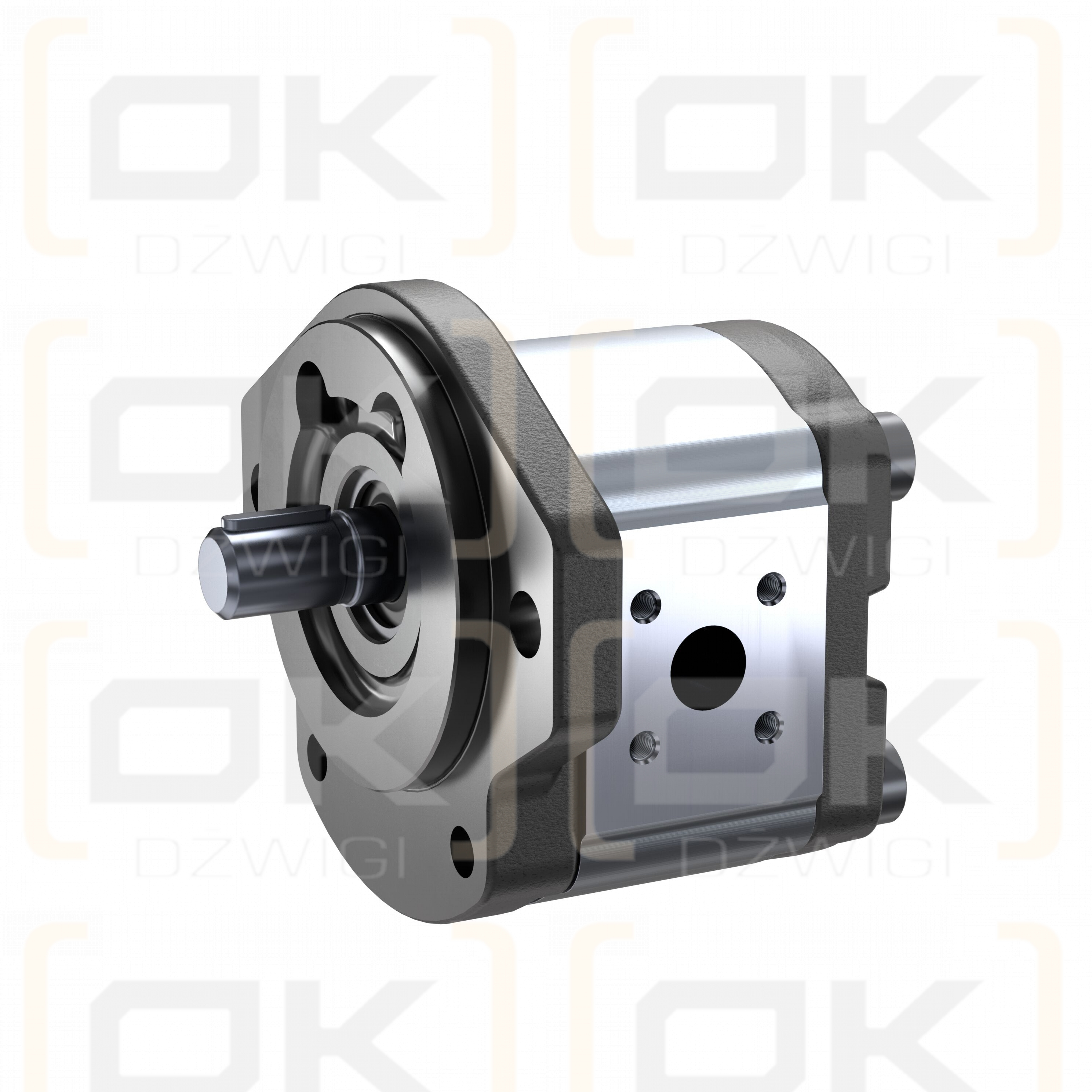 Bosch Rexroth AZPF-11-019RQR20MB gear pump