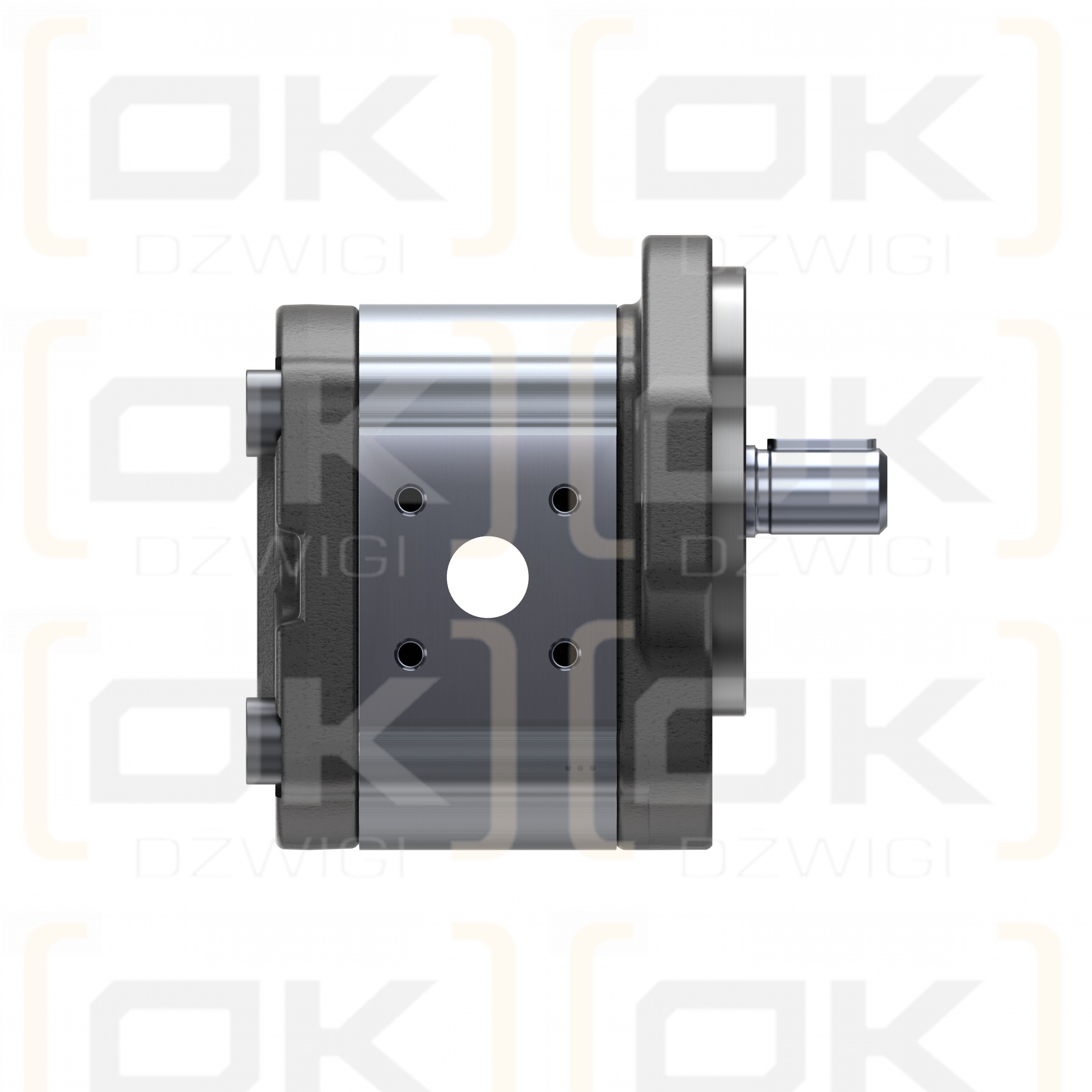 Bosch Rexroth AZPF-11-019RQR20MB gear pump