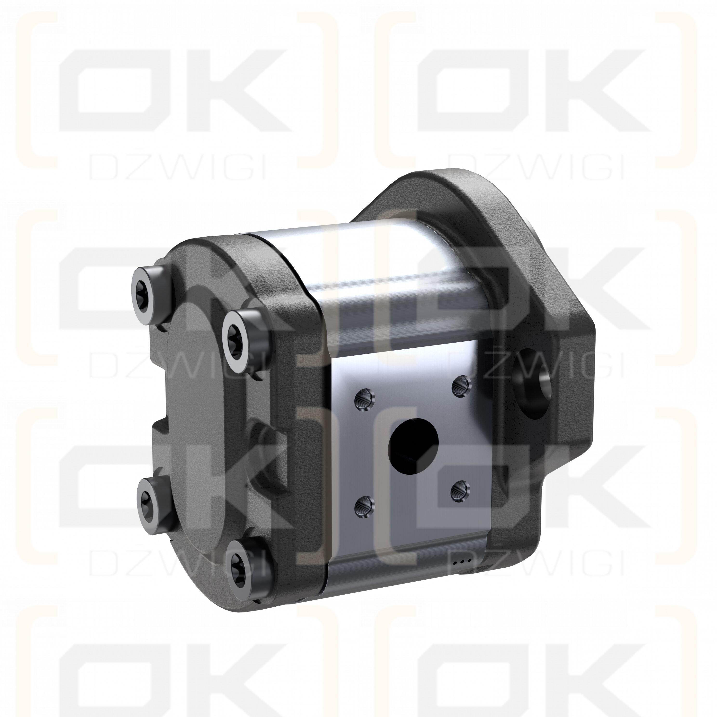 Bosch Rexroth AZPF-11-019RQR20MB gear pump