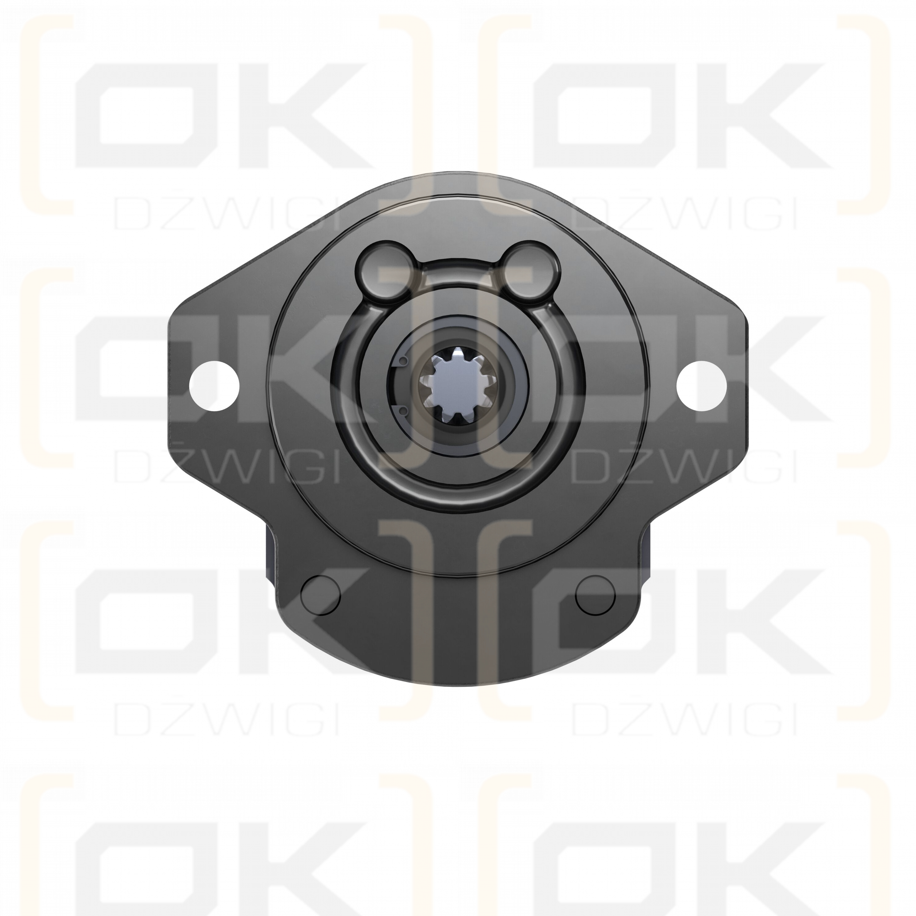 Pompa zębata Bosch Rexroth AZPF-10-005LRR20MB
