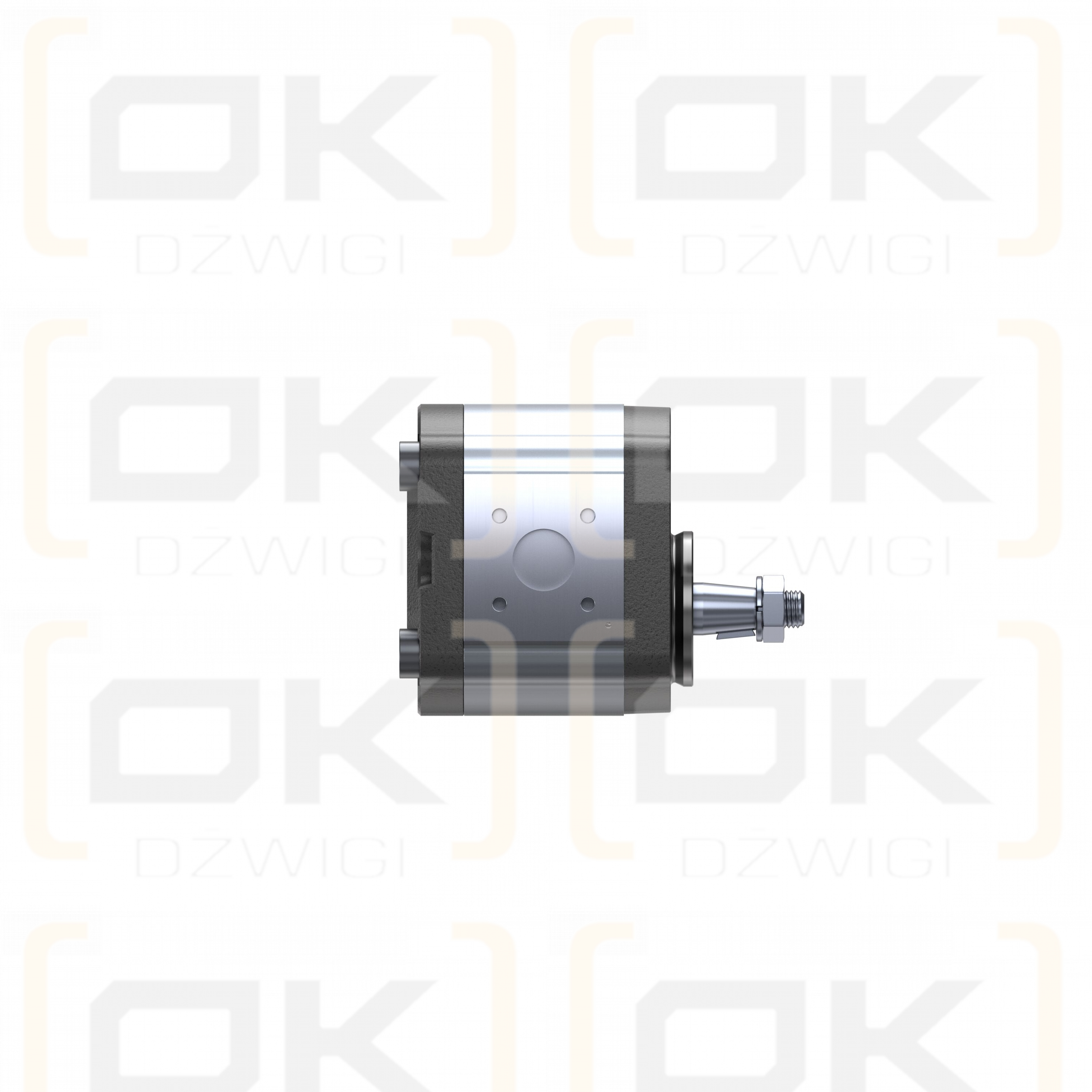 Bosch Rexroth AZPF-11-008LCN20MB Zahnradpumpe