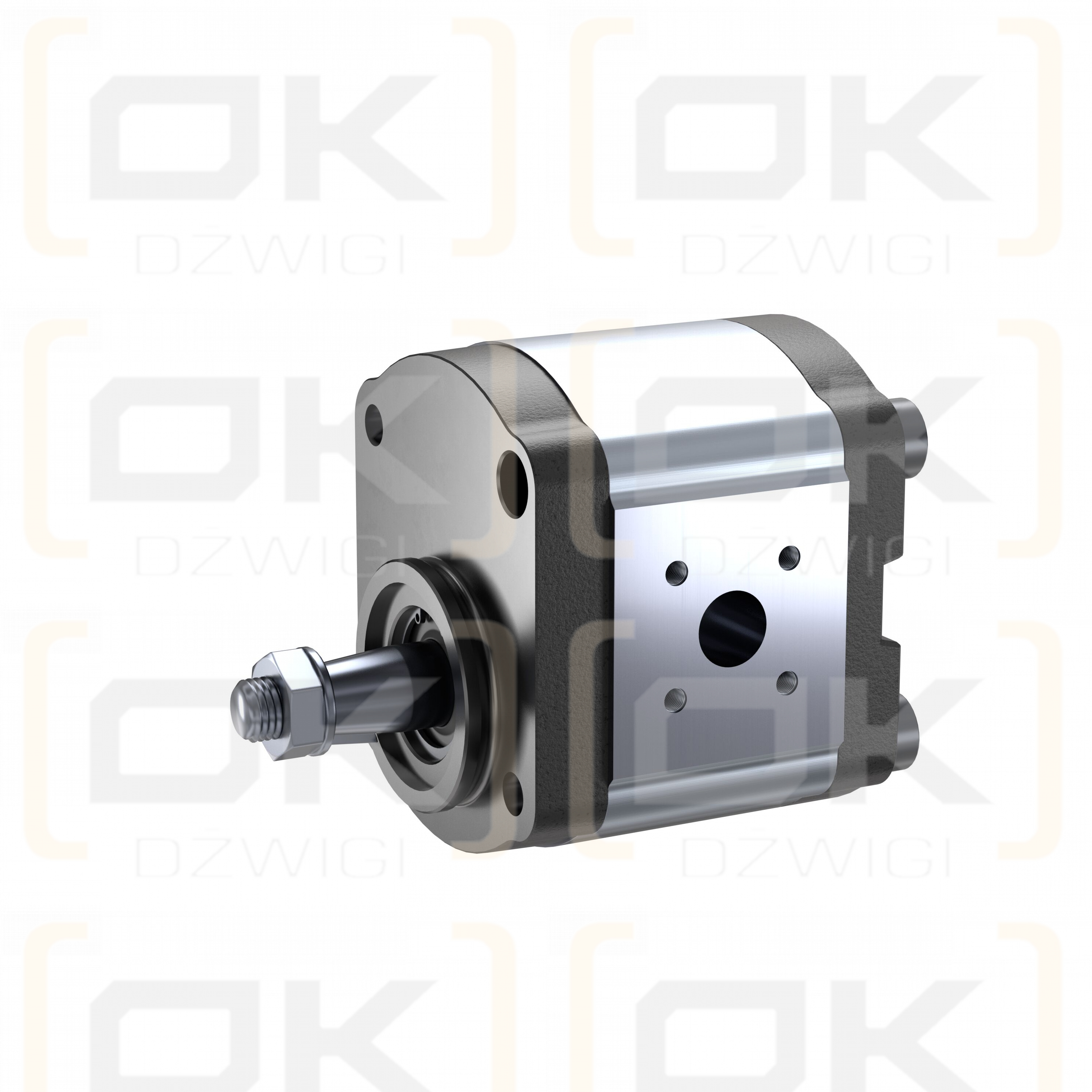Bosch Rexroth AZPF-11-008LCN20MB Zahnradpumpe