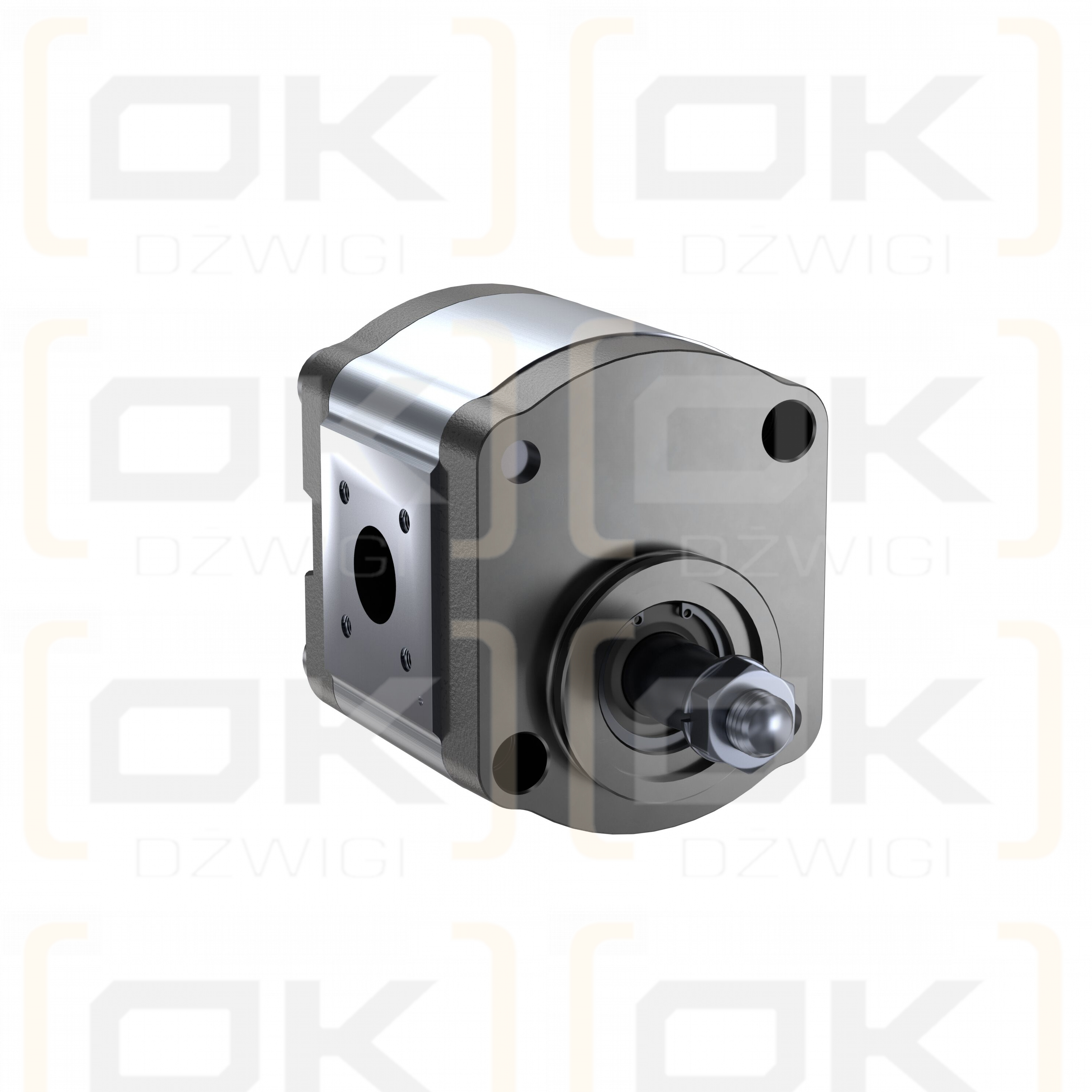 Bosch Rexroth AZPF-11-008LCN20MB Zahnradpumpe
