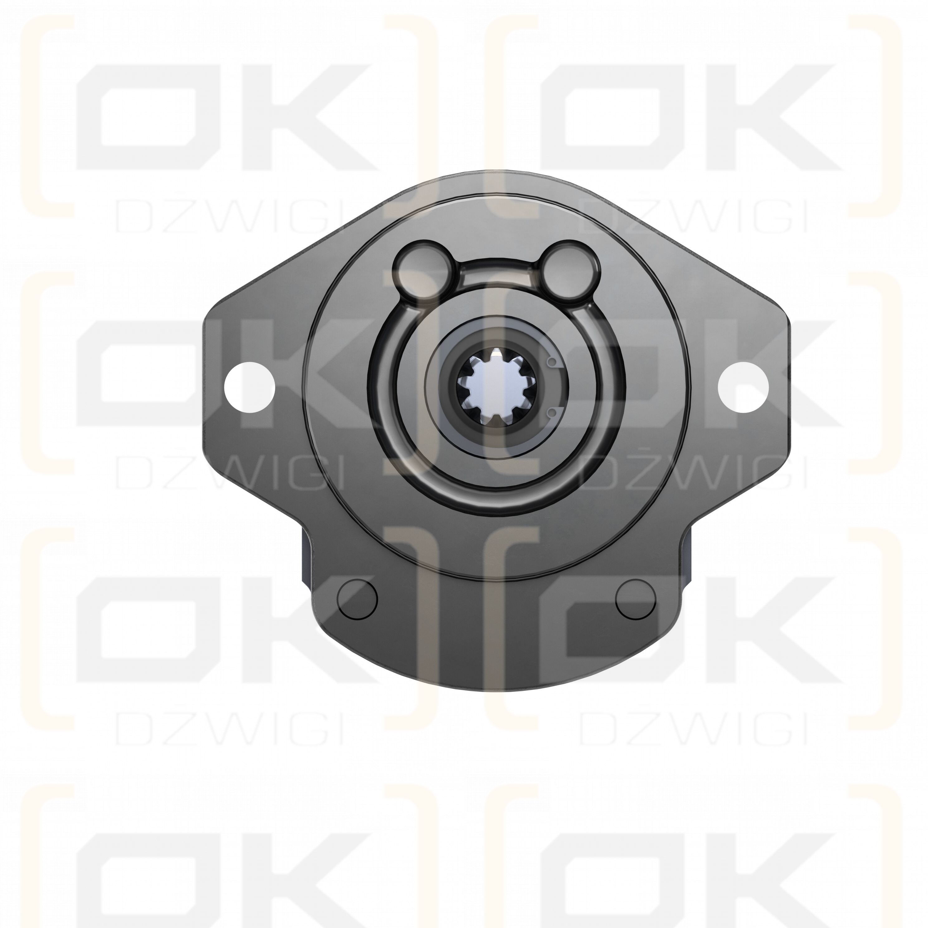 Pompa zębata Bosch Rexroth AZPF-11-008RRR12MB