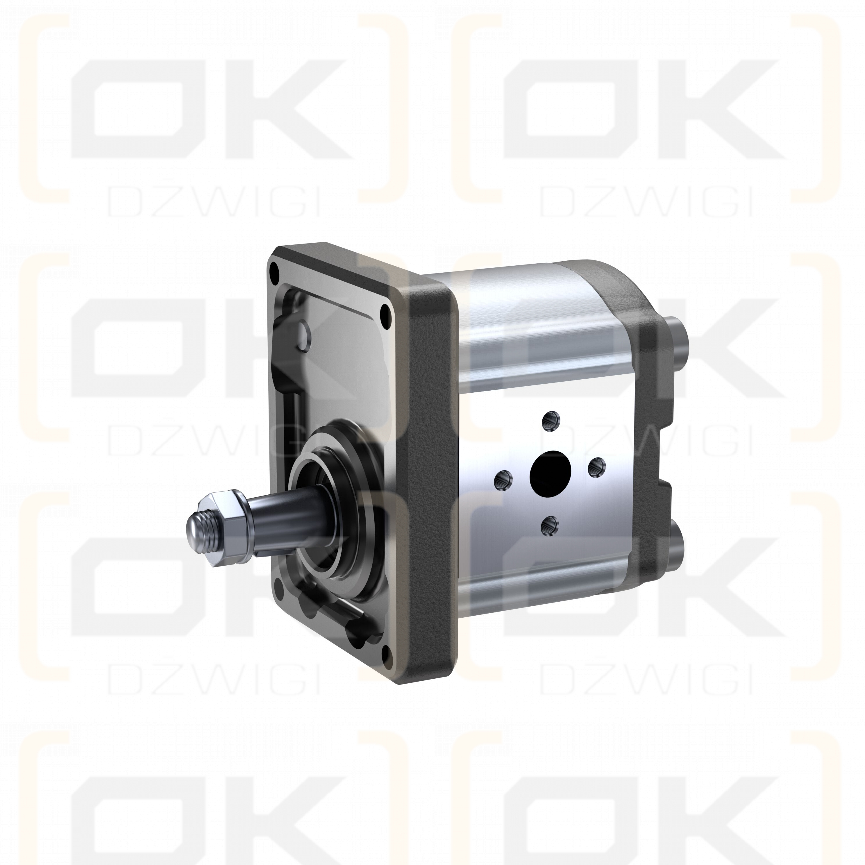 Pompa zębata Bosch Rexroth AZPF-11-008RHO30PB-S0285