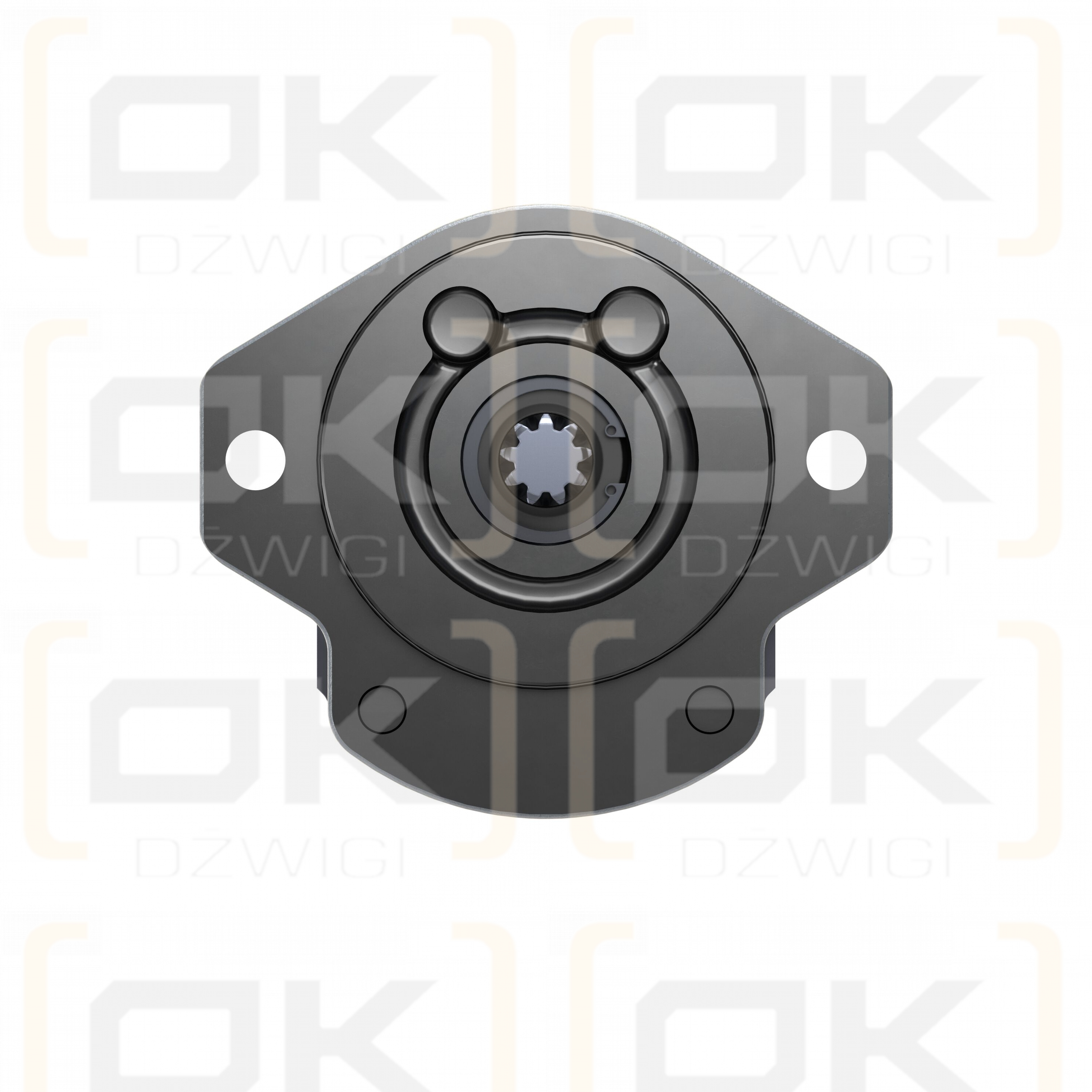 Pompa zębata Bosch Rexroth AZPF-12-011RRR20MH