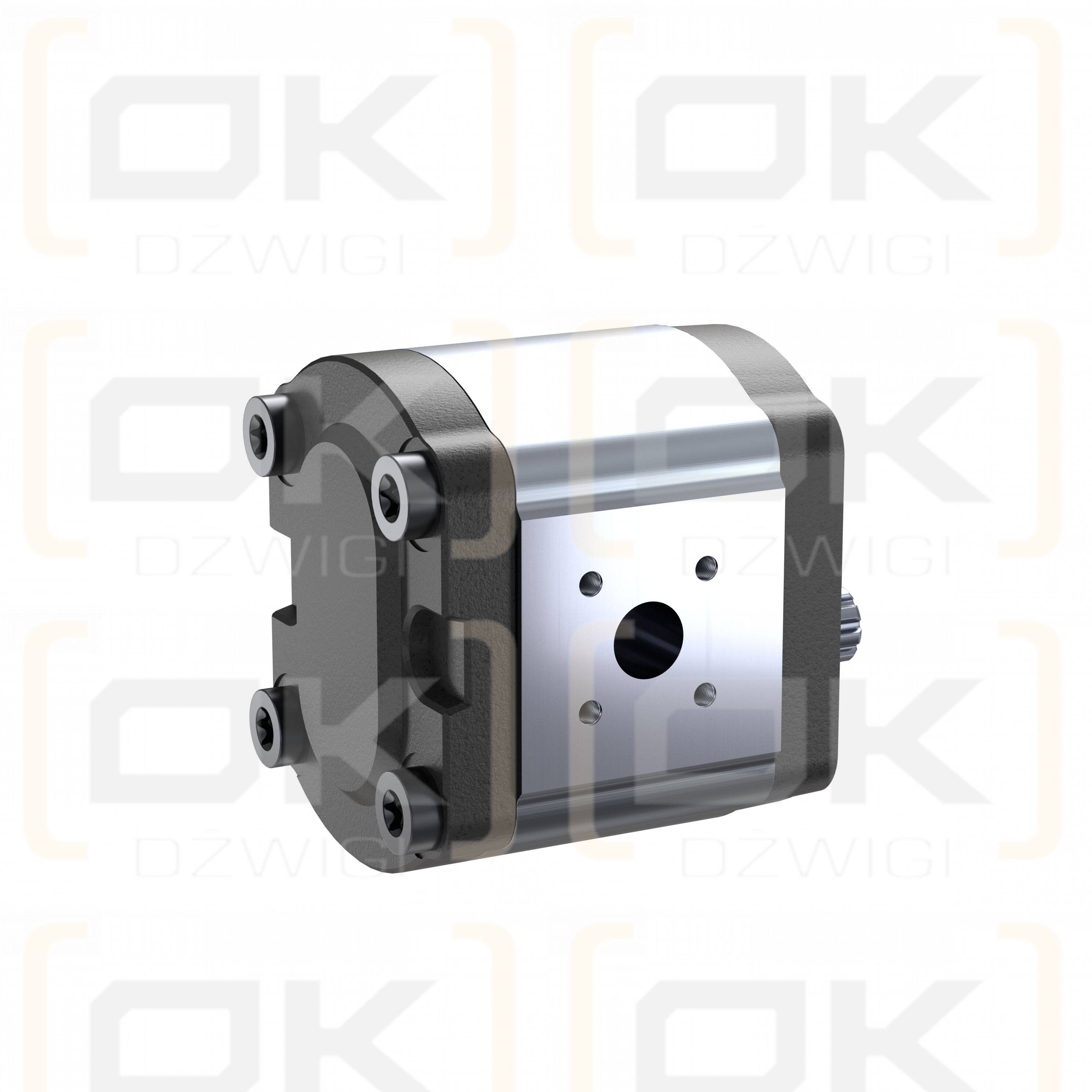 Pompa zębata Bosch Rexroth AZPF-10-011RFN20MB