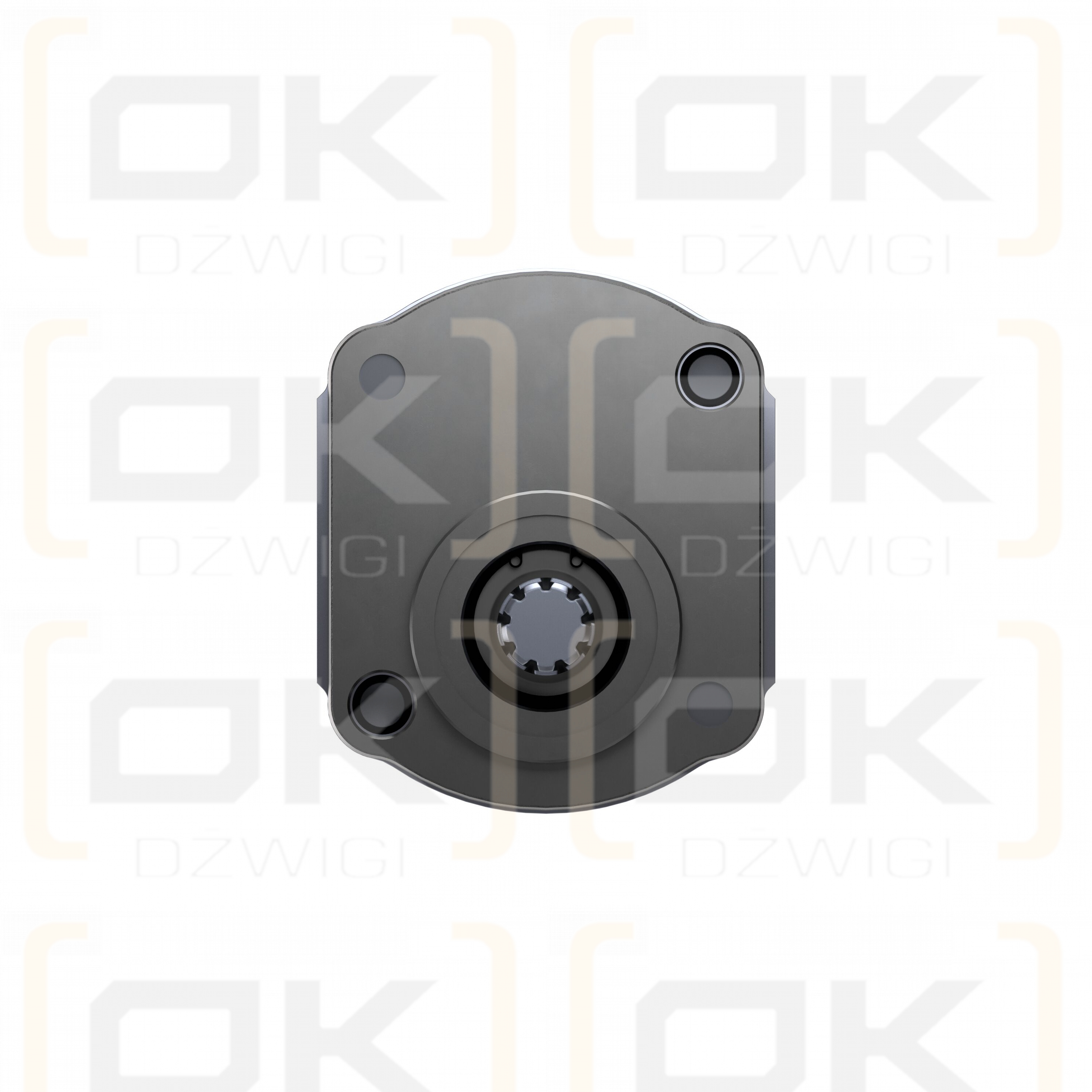 Pompa zębata Bosch Rexroth AZPF-10-011RFN20MB