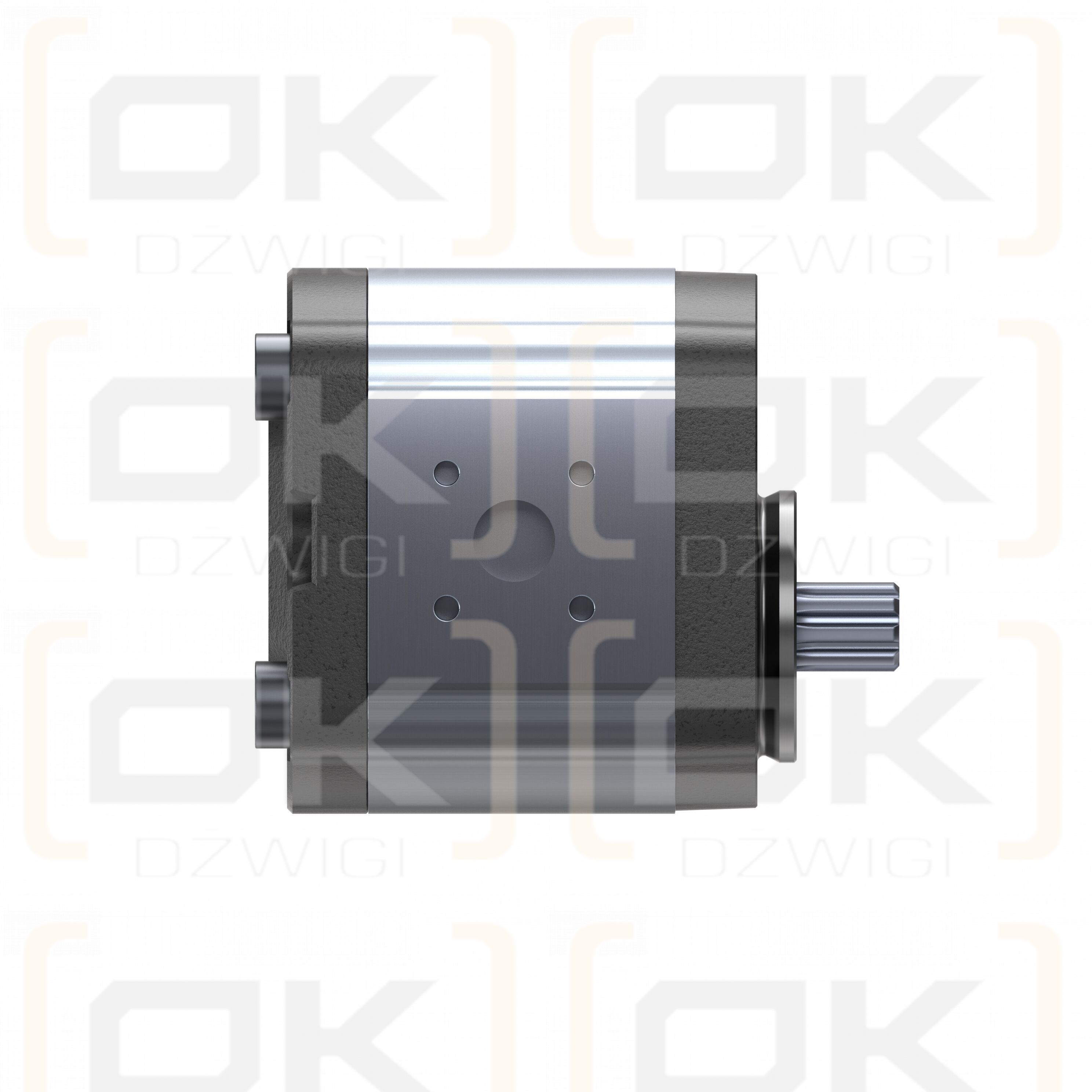 Pompa zębata Bosch Rexroth AZPF-10-011RFN20MB