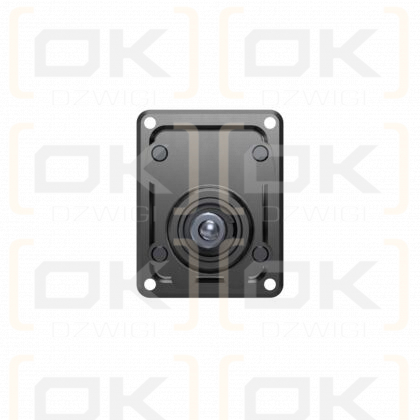 AZPF-11-011RHO30PB-S0285
