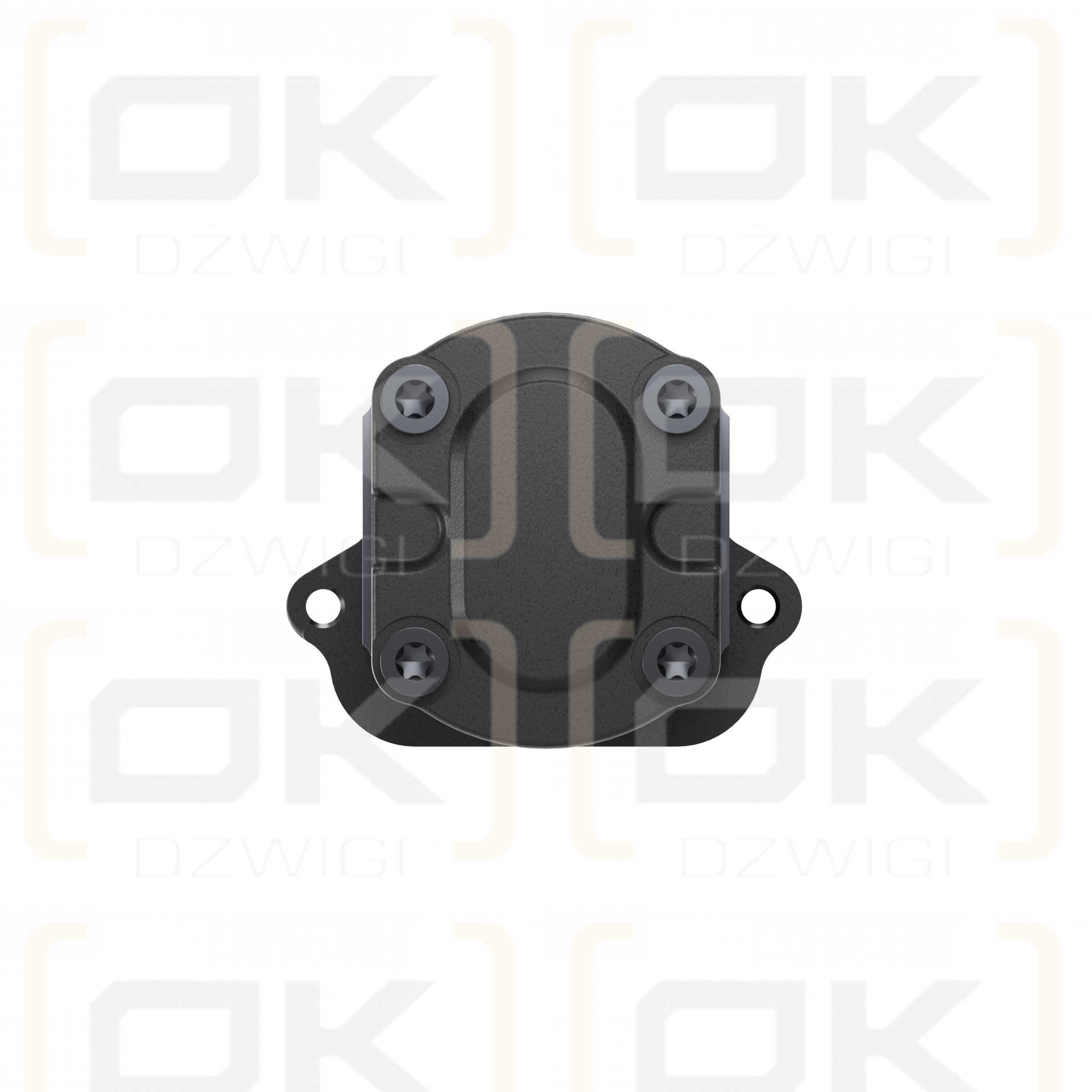 Pompa zębata Bosch Rexroth AZPF-11-011LHX30KB-S0135