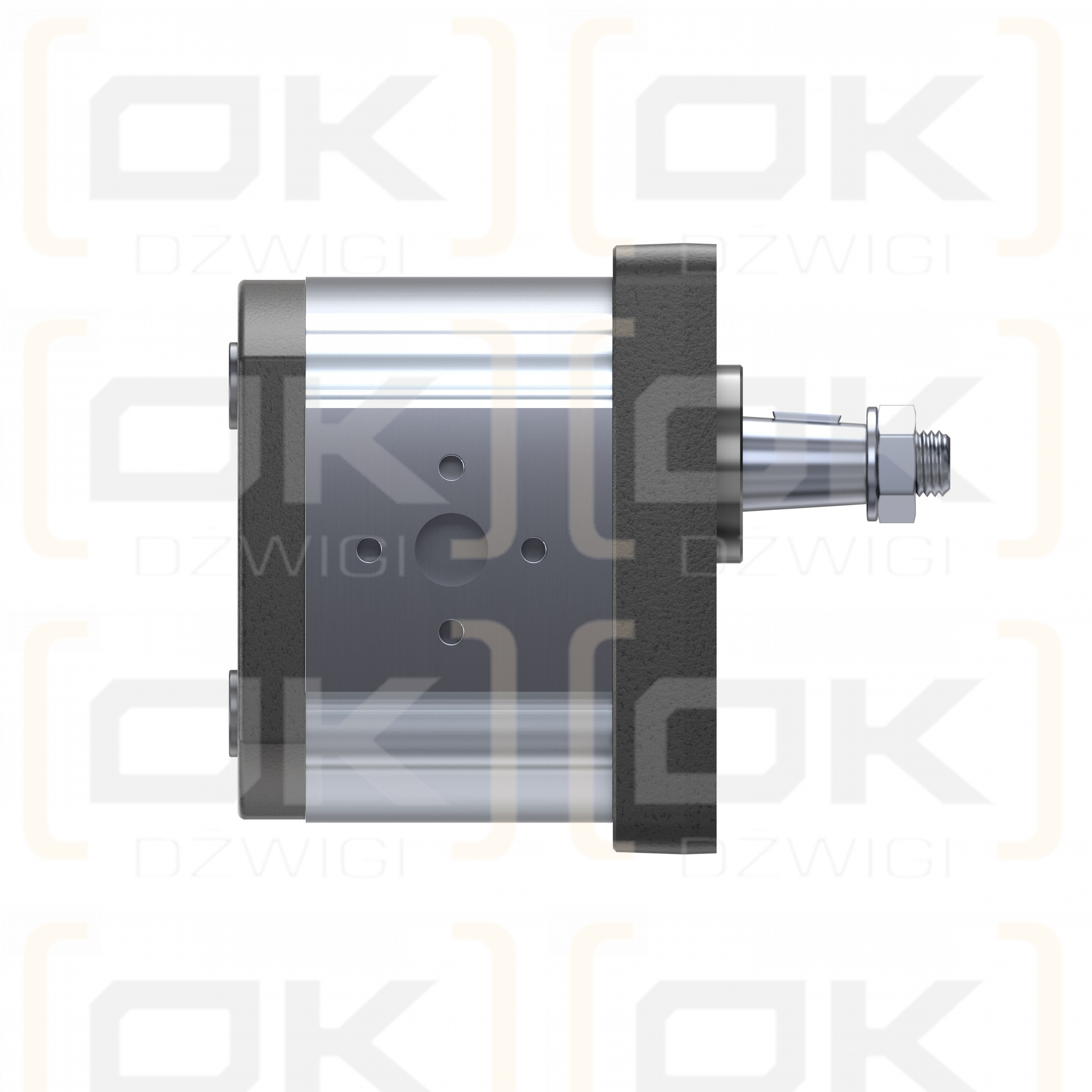 AZPF-10-011LHO30MX-S0032